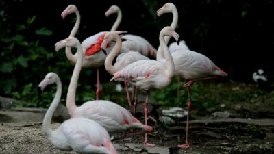 Bursa’ya müjde! Kapılarını açtı
