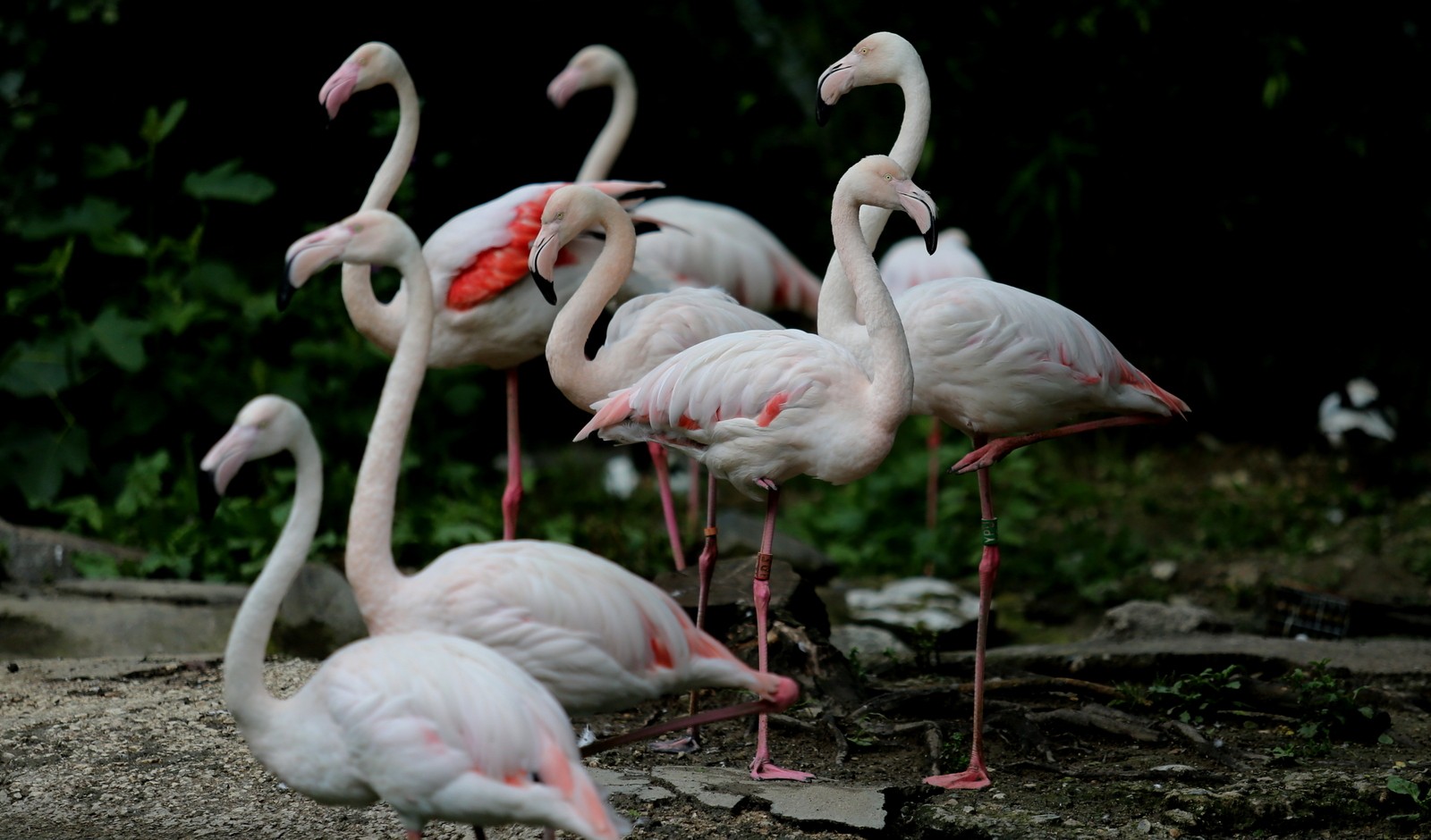 Bursa’ya müjde! Kapılarını açtı