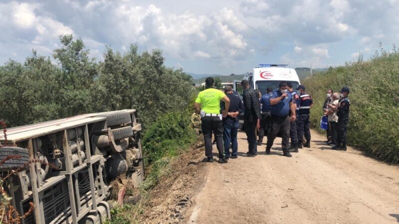 Bursa'nın Gemlik ilçesinde bir yolcu midibüsünün zeytinliğe uçması sonucu biri