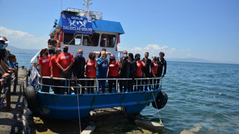 Gemlik Körfezi’nde müsilaj için dalış Bursa'nın Gemlik ilçesinde, Marmara Denizi kıyılarında son dönemde yer yer