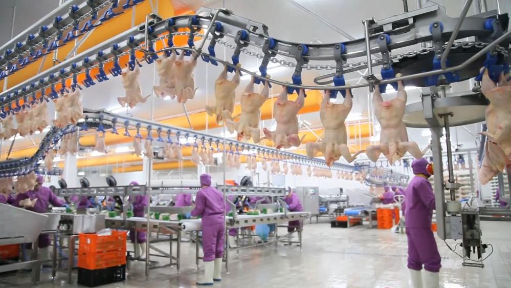 Tavuk devi 2021’de 160 milyon TL’lik yatırım planlıyor