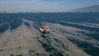 Mavi bayraklı plaj da salya istilasında