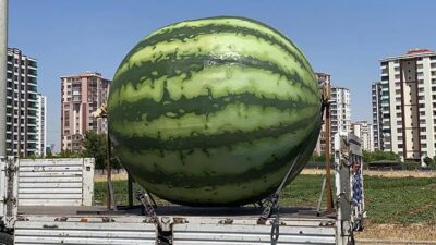 Tartışma konusu olmuştu! Diyarbakır, iki figürle daha gündemde