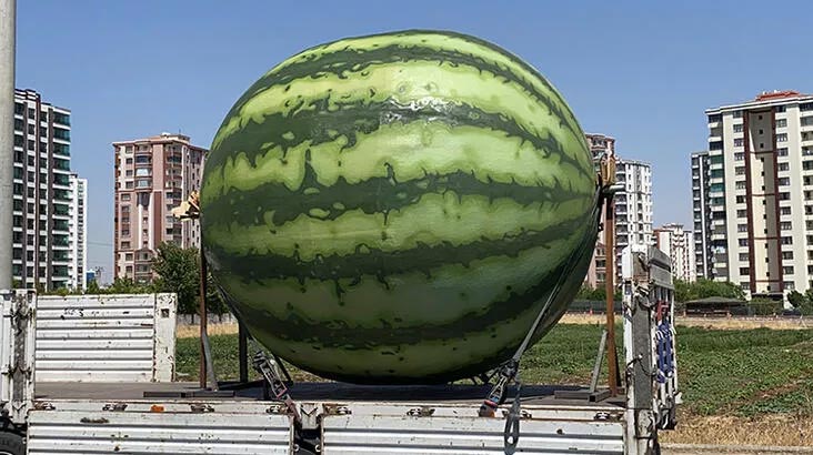 Tartışma konusu olmuştu! Diyarbakır, iki figürle daha gündemde