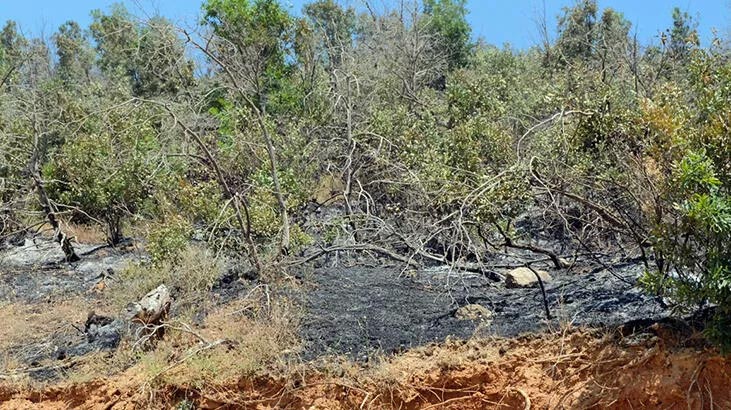 Bingöl Valiliği: 4 gün süren orman yangını kontrol altına alındı