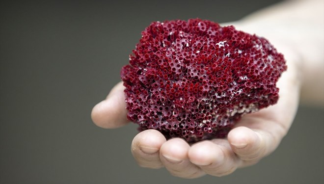 Aktarlarda şifalı diye satılıyor! Aslında çok zararlı…