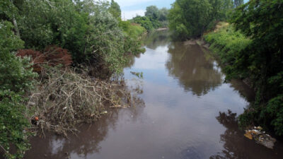 Marmara Denizi’ne dökülen Nilüfer Çayı’ndan korkunç görüntüler