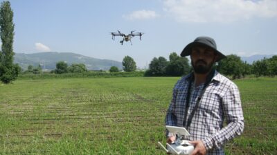 Bursa’da çeltik tarlaları drone ile ilaçlanıyor