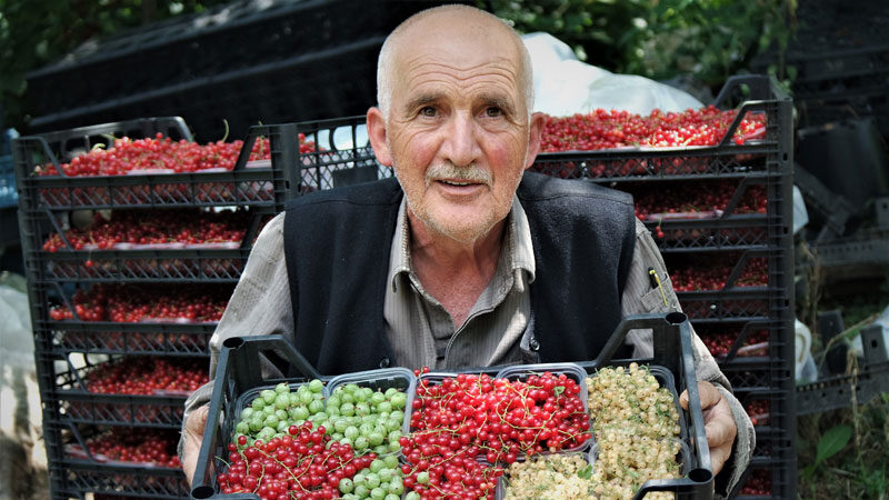 Bursa'da bir çiftçi, 2014'te UNESCO Dünya Mirası Listesi'ne alınan tarihi