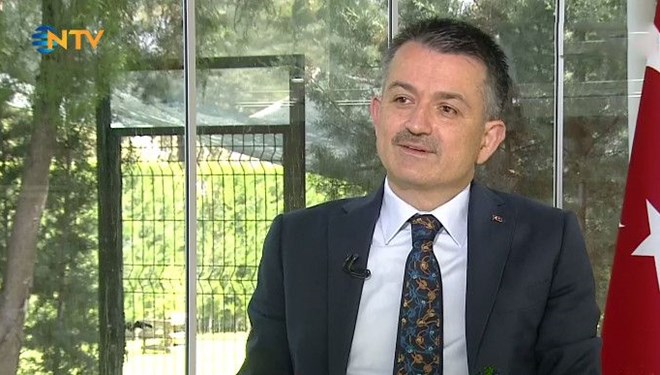 Bakan Pakdemirli: Müsilajdan etkilenen balıkçılara destek artırılacak