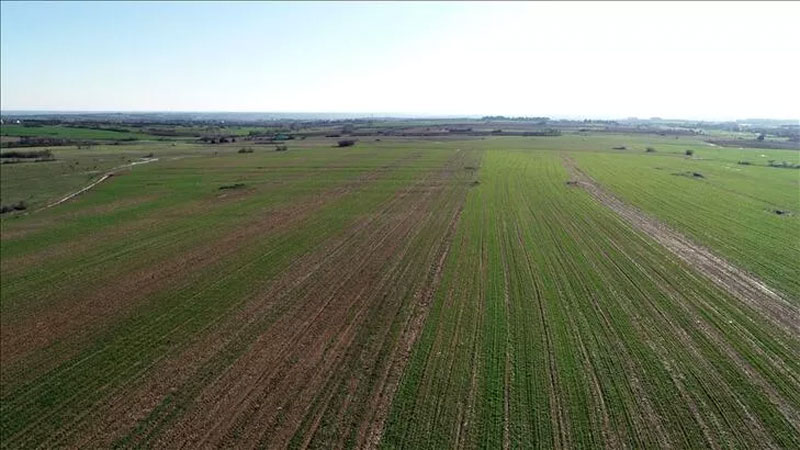 Gürsulu esnaflardan satılık 3 taşınmaz… Gürsulu esnaflardan satılık 3 taşınmaz…