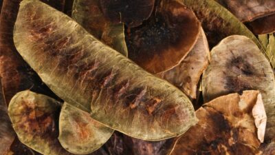 Tüketenler dikkat! Faydası çok ama…