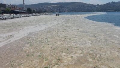 Lodos nedeniyle Gemlik Körfezi’ndeki müsilaj yoğunlaştı