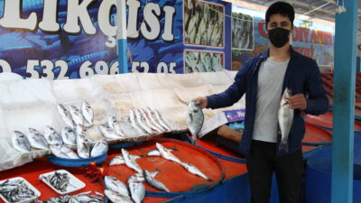 Bursa’da büyük balık krizi!