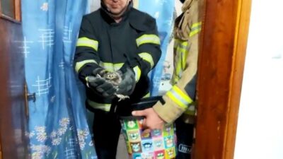 Baykuş evin küvetine yavruladı