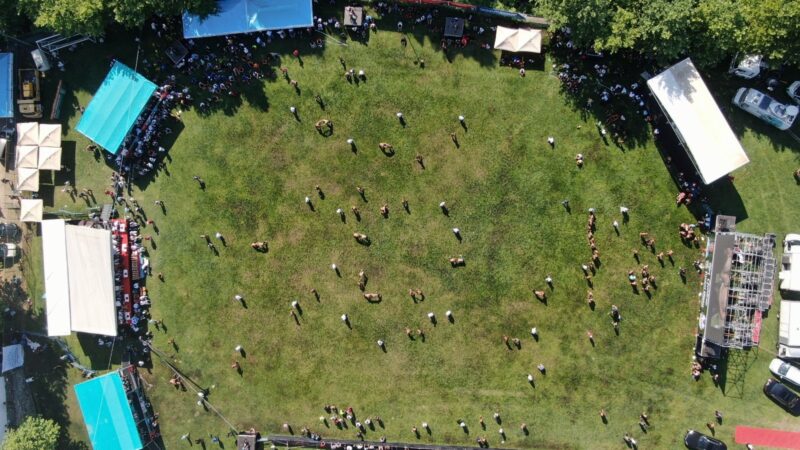 Bursa’da düzenlenen Çalı Geleneksel Yağlı Güreşleri’ne vatandaşlar yoğun ilgi gösterdi.