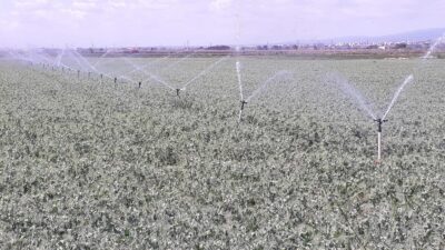 Bursa’da sulama sezonu başladı