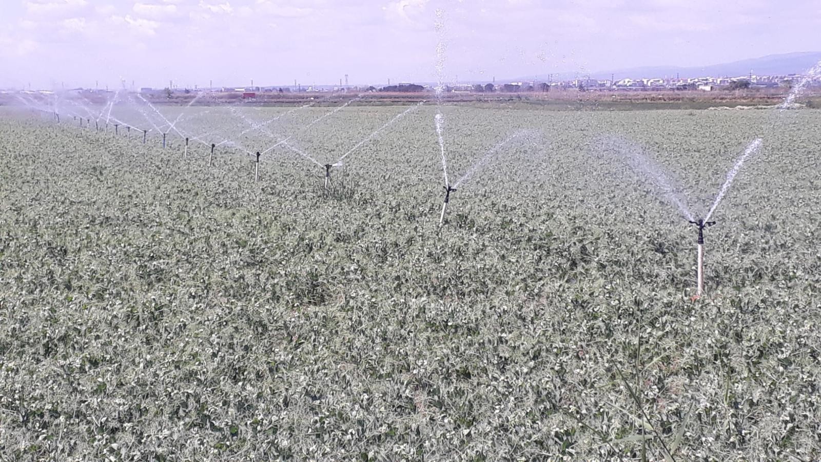 Bursa’da sulama sezonu başladı