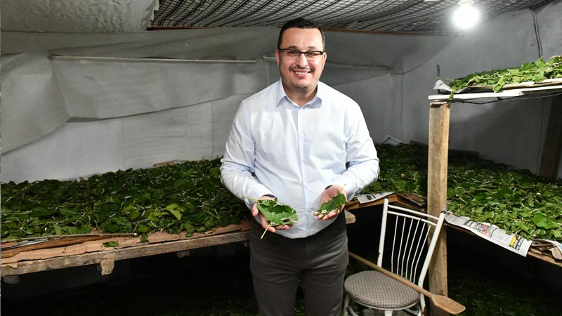 1 Kutu ipekböceği 40 günde 4 Bin TL Gelir 1 Kutu ipekböceği 40 günde 4 Bin TL Gelir