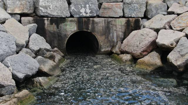 Uzmanların tespiti: Deniz salyasının temel nedeni atık sular