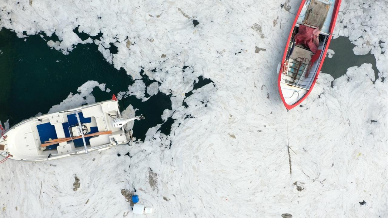 Sahili beton gibi kapladı