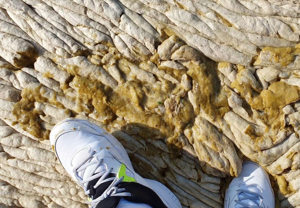 Bursa’da kaydedildi! İşte felaketin görüntüleri… Bursa’da kaydedildi! İşte felaketin görüntüleri…