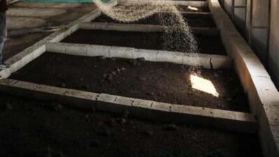 Uygunsuz bulunan gübrelerin internetten satışına para cezası kesilecek