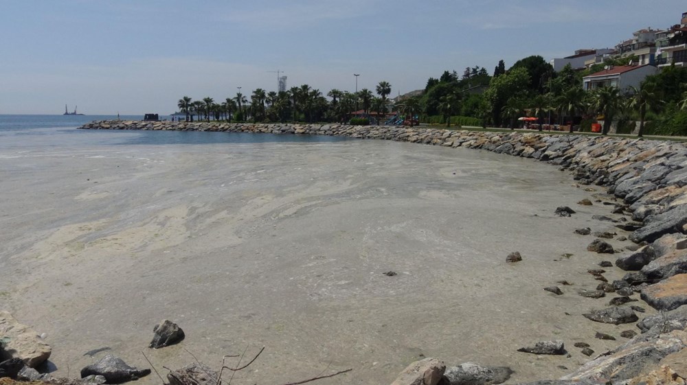 Müsilajla kaplandı! İki ilçede ‘denize girmeyin’ uyarısı