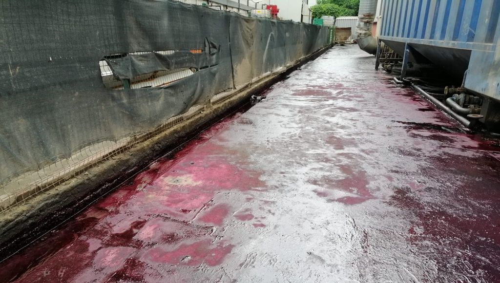 Korkunç görüntü! Dere kırmızıya boyandı