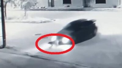 Bursa’da vahşet! Göz göre göre üzerinden geçti