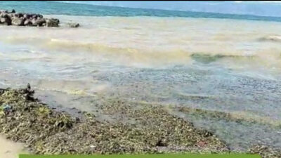 Bursa’da tehlike büyük! Önlem alınmazsa…