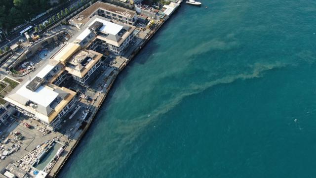 ‘Marmara Denizi foseptik çukuru haline geldi’ ‘Marmara Denizi foseptik çukuru haline geldi’