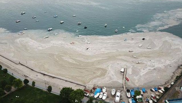 Marmara’yı kirleten 16 işletmeye men Marmara’yı kirleten 16 işletmeye men