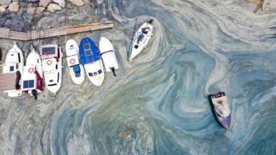 Müsilaj için bilim kurulu oluşturuldu