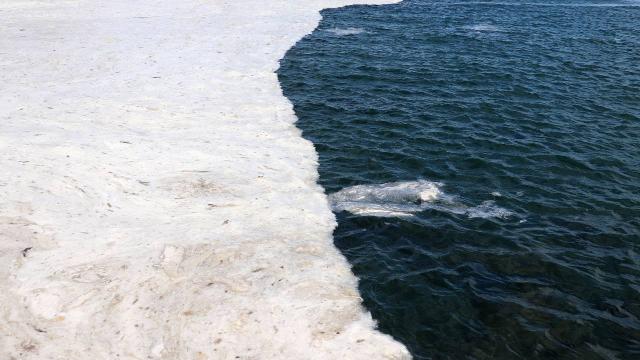 Çanakkale’de 198 metreküp müsilaj toplandı Çanakkale’de 198 metreküp müsilaj toplandı
