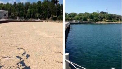 7 günde 2 bin 684 metreküp müsilaj temizlendi