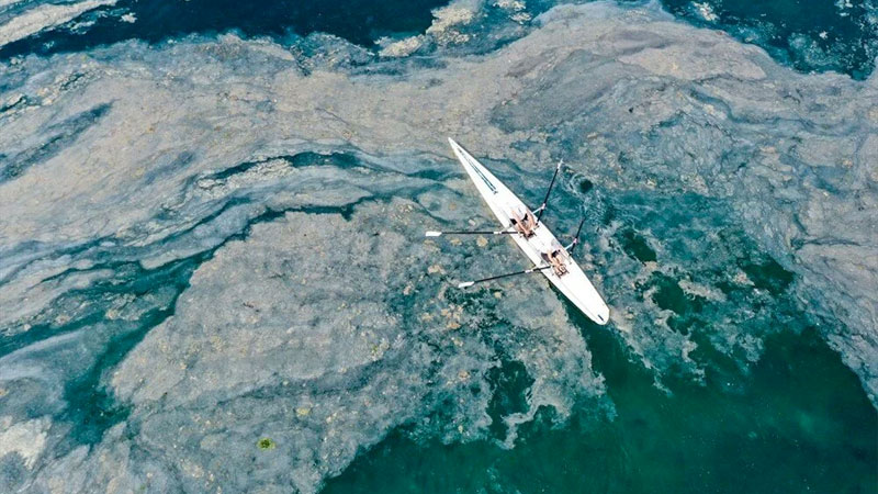 Marmara’da ‘derin’ inceleme! Raporda çarpıcı sonuçlar Marmara’da ‘derin’ inceleme! Raporda çarpıcı sonuçlar