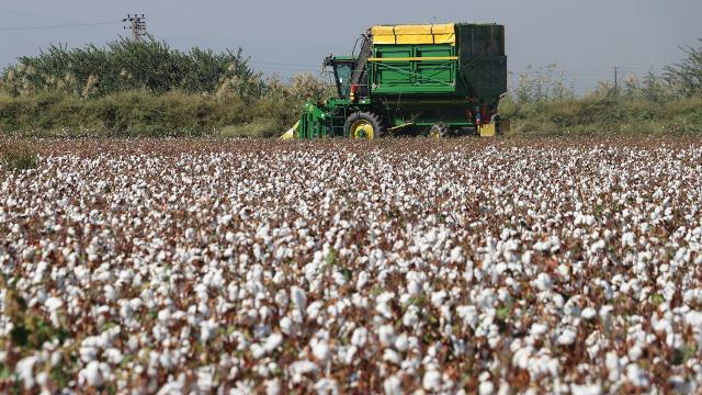 Bakan müjdeyi verdi! Ödemeler başlıyor