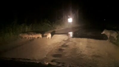 Görüntü Bursa’dan… Ezilmekten son anda kurtuldular