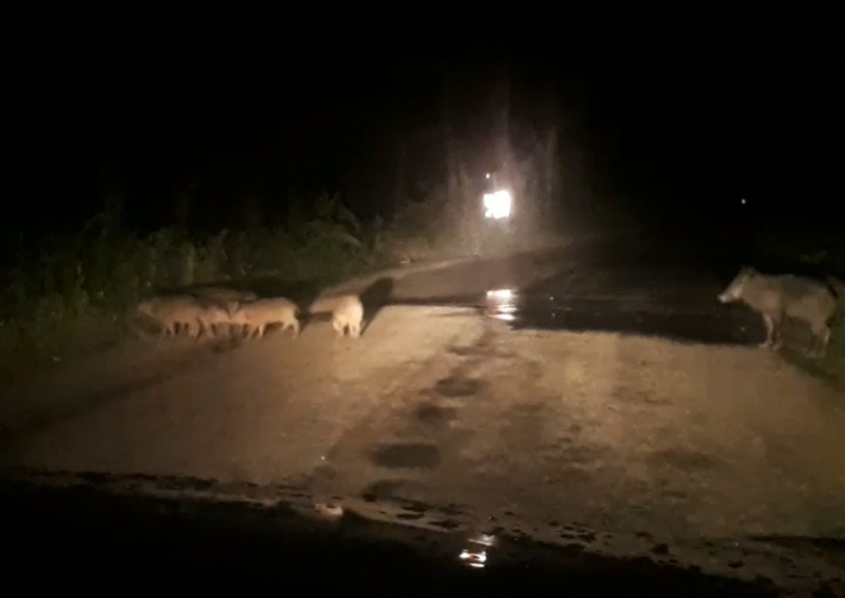 Görüntü Bursa’dan… Ezilmekten son anda kurtuldular Görüntü Bursa’dan… Ezilmekten son anda kurtuldular