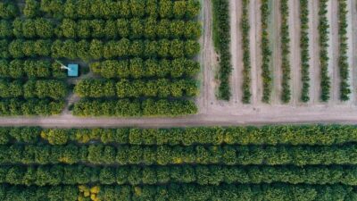 Açıklama geldi! Başvurular 30 Haziran’da sona eriyor