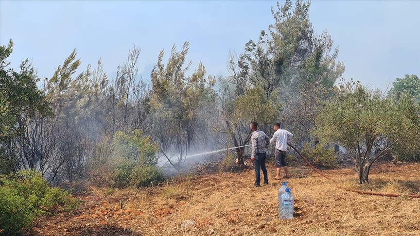Bir orman yangını da Osmaniye’de