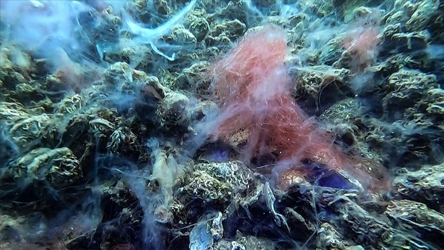 Marmara’dan korkutan görüntüler! Denizin dibine tamamen yayıldı