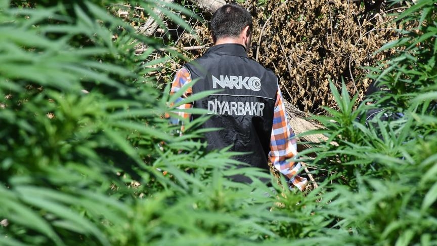 PKK’nın finans kaynağına darbe