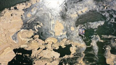 Bakanlık açıklamıştı! Bugün Bursa dahil 7 ilde başlıyor