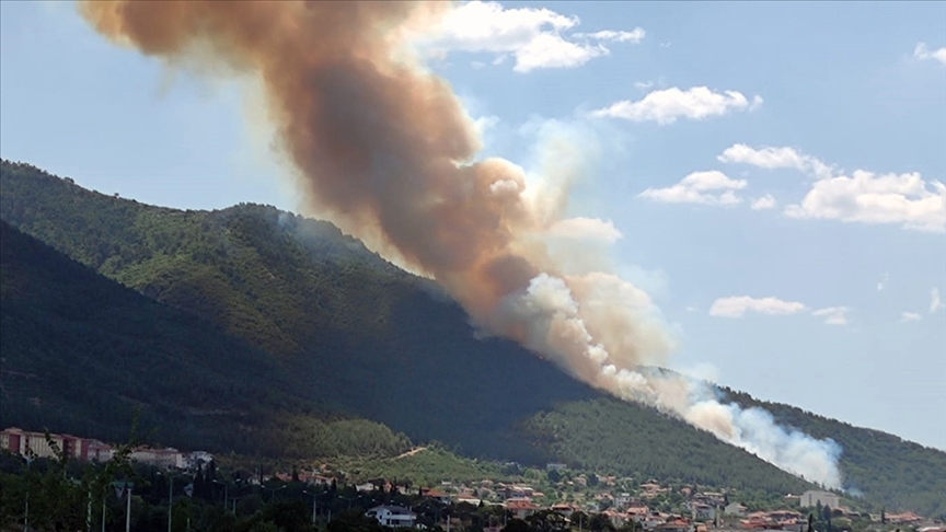 Denizli’de orman yangını
