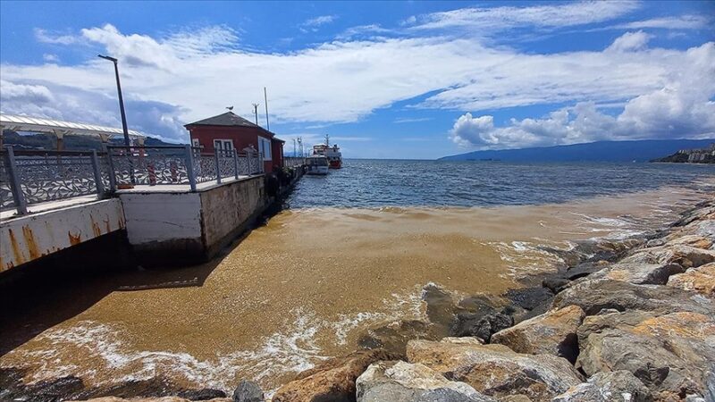 Bursa'nın Gemlik ilçesinde, Marmara Denizi kıyılarında müsilaj (deniz salyası) yoğunluğu