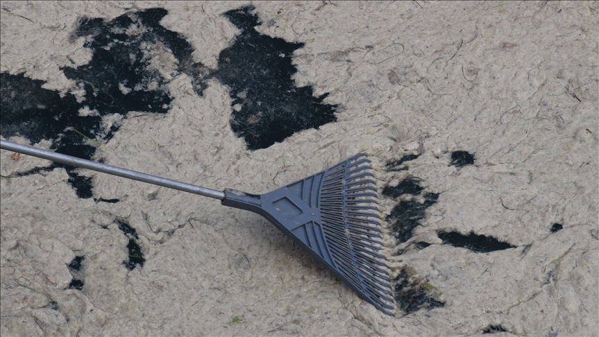 Marmara Denizi’nden toplam 5 bin 738 metreküp müsilaj temizlendi