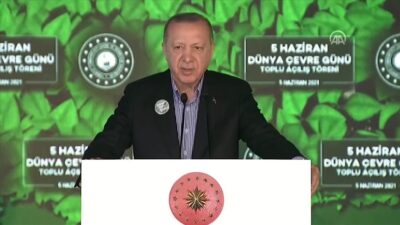Cumhurbaşkanı Erdoğan’dan müsilaj talimatı
