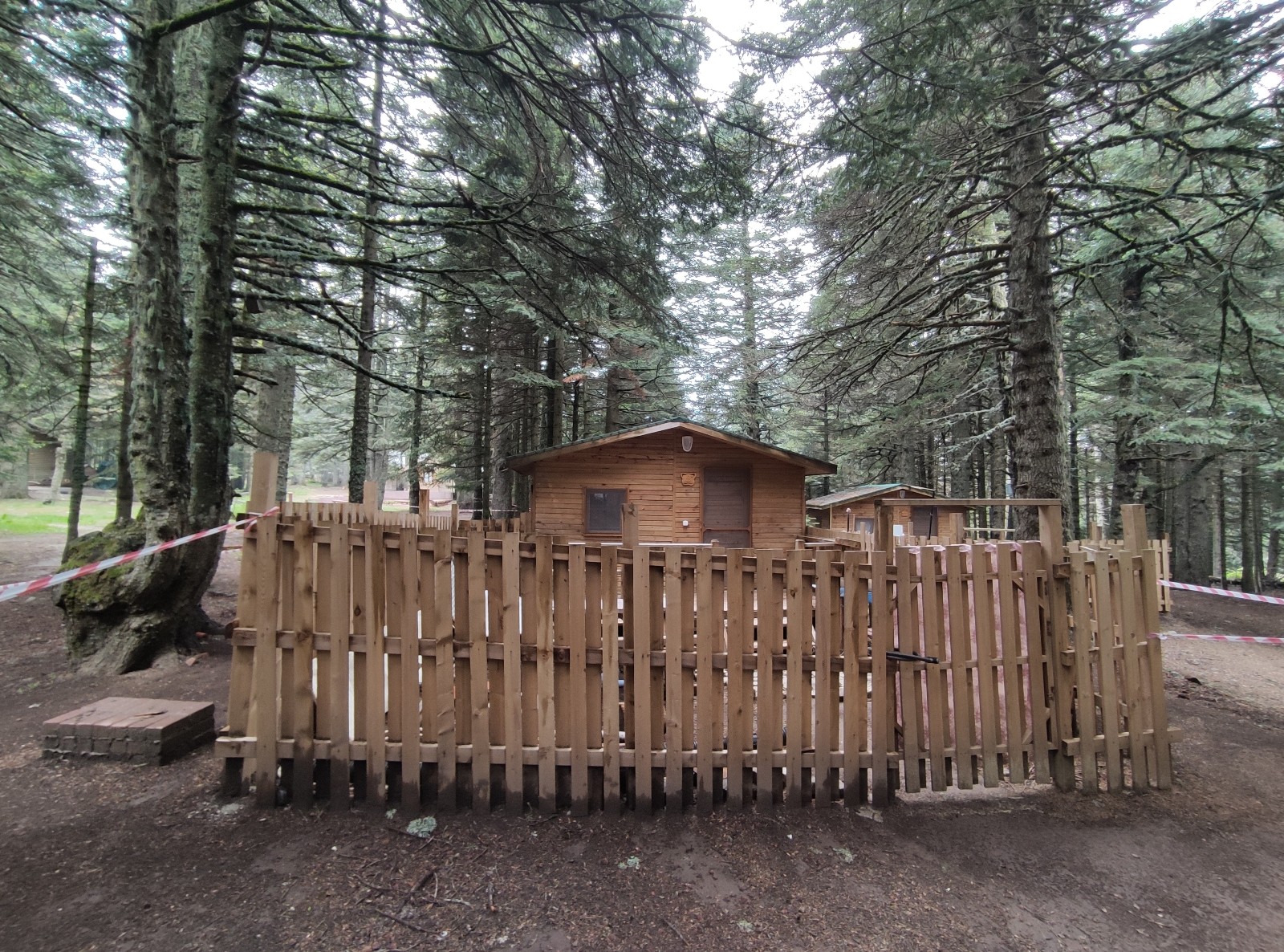 Bursa’da hava aydınlanmadan sıraya giriyorlar! Buraya rağbet büyük